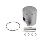 New Piston Kit 66.94MM 1989-2000 Suzuki Rmx 250 249CC Enduro 12110-29E20-0F0. Price: $162.50.