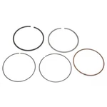 Wsm Piston Rings 51-256 New. Price: $36.41.