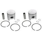 Piston Kit For Arctic Cat Pantera 5000 Fc 1977-1979 Snowmobile By Race-driven X2 New. Price: $146.25.