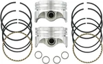 Forged Pistons 80" 9.5:1 #KB920.STD Harley Davidson New. Price: $269.68.