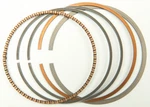 Wiseco 2973XC Piston Ring Set For Honda TRX300EX / XR250R XR250L - 75.50MM New. Price: $47.99.