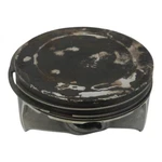 2021 Polaris Slingshot Manual 2.0 Piston 3023462 3023198 Used. Price: $50.99.