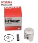 Yamaha 2019 YZ85 Genuine Oem Piston Kit Ring Set 5PA-11630-10-00 New Box. Price: $71.99.
