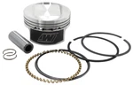 Wiseco K1746 Piston Kit Standard Bore 10.5:1 04-20 Harley Sportster 1200 62462 New. Price: $426.12.