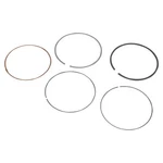 Wsm Piston Ring Set 81.00MM Bore 51-256-07 New. Price: $36.41.