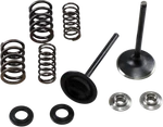 Kibblewhite Stainless Steel Conversion Valve And Spring Kit 30-33250 New. Price: $179.67.
