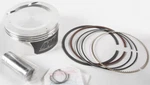 Wiseco Piston Kit Standard Bore 102.00MM 4902M10200 New. Price: $221.30.