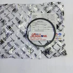 Band (72X2.5) Original Scraper Piaggio Beverly 200 250 Carnaby Gts X8 ... Nuovo. Price: $29.14.