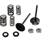 Kibblewhite Intake Spring Kit 30-33250 New. Price: $171.18.