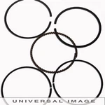 Namura Technologies NA-40000-6R Factory Style Piston Rings .060 New. Price: $18.23.