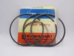 Nos Kawasaki F9 1972-1975 F5 Bighorn 1970 Standard Bore Piston Rings 13008-024 New. Price: $24.89.