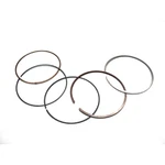 Rings 94.95MM Gas/ For Namura Pistons Only Gas-gas Yamaha Ec YZ450F New. Price: $23.35.