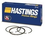 Hastings 2M5299 Engine Piston Ring New. Price: $48.99.