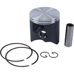 Vertex 2013-2017 300 Rr (2T) Beta Piston Kit Cast 71.95/STD 24391A New. Price: $231.26.