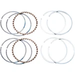 Hastings Piston Ring Set - 1200 +0.010" 2M6482010 New. Price: $79.82.