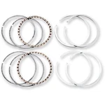 Hastings Piston Rings - Twin Cam 2M4941005 New. Price: $101.23.