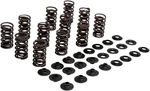 Kibblewhite Lightweight Racing Valve Spring Kit (80-81700) New. Price: $153.31.