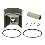 Spi T-moly Dual-ring Piston #SM-09247 Polaris New. Price: $97.43.