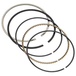 Wiseco - Powersports 3.875 Ring Set 1.2X1.2X3.0MM For Tracker Pistons 3875VMF New. Price: $52.95.
