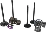 Wiseco Steel Valve Kit (complete) For 06-09 Suzuki LTR450 SVKB3406 118021 New. Price: $328.99.
