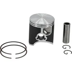 Vertex 2020-2024 250 Rr (2T) Beta Piston Kit Cast 66.35/STD 24384A New. Price: $201.56.