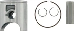 Pro X Piston Kit 01.6105.D New. Price: $95.36.