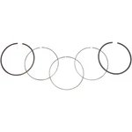 Wsm Ring Set 51-228-06 New. Price: $36.90.