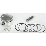 Wiseco - Powersports Piston TTR250 Domed 4689M07350 New. Price: $221.95.