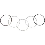 Wsm Piston Rings 51-228-07 New. Price: $41.89.
