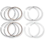 Hastings Piston Ring Set - Evolution +0.005" 6164005 New. Price: $39.05.