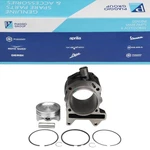 Genuine Piaggio Cylinder Kit 250CC MP3 X7 X8 X9 Xevo Vespa Gts Gtv Ie 4T Neu. Price: $387.56.