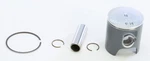 Pro X Piston Kit 01.1113.B New. Price: $89.96.