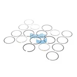 Bendix 5005362 Piston Ring Kit New. Price: $178.03.