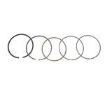 Oem Grade Piston Rings 0.25MM Over Honda TRX300 TRX250X ATC250SX 74.25MM New. Price: $98.96.