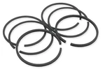 Hastings Moly Ring Set (1200CC) - Standard Bore 2M5069 New. Price: $42.63.