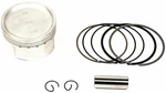Bbr 195CC Piston Kit With Aluminum Cylinder Enhanced Performance New. Price: $157.95.