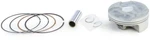Pro X 01.1342.B Piston Kit (b) - Standard Bore 76.78MM, 13.2:1 Compression New. Price: $185.95.