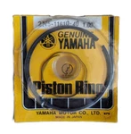 Nos Yamaha Oem Piston Ring Set 1.00 1979-1981 MX175 DT175 2N5-11610-40 New. Price: $24.99.