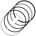 Caltric Engine Piston Rings For Honda 13011-MN1-305 / 131A2-MN1-671 New. Price: $15.01.
