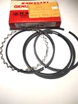 Kawasaki 13025-1001 Piston Ring Set 0.020 O/s Nos New. Price: $89.92.