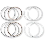 Hastings Moly Ring Set (1340CC) Standard Bore 2M-6127-STD New. Price: $80.46.