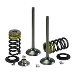 Psychic Products XU-09527IK Intake Valve Kit New. Price: $64.55.