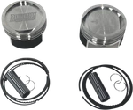 Revolution Perf Piston Kit 125" Dish RP301-414W New. Price: $495.95.