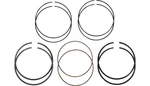 Hastings Piston Rings 0.01 2C5231.25 New. Price: $57.99.