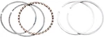 Hastings Moly Ring Set (1550CC) - Standard Bore 2M4941 New. Price: $60.61.