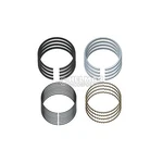 Yale 9012738-73 Piston Ring Set (.50 Mm) New. Price: $62.08.