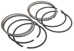 Hastings 7003 1000CC Cast Rings For Sportsters Std. H-D#22355-72TA New. Price: $76.76.