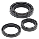 822121 Vertex,oil Seal Set New. Price: $16.90.