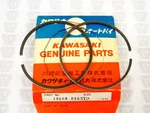 Kawasaki Nos New 13008-026 Std Piston Ring Set F81M F11M Bison. Price: $89.99.